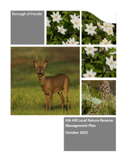 Thumbnail showing front cover of the management plan