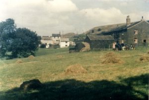 Photograph showing Gib Hill Farm in 1957