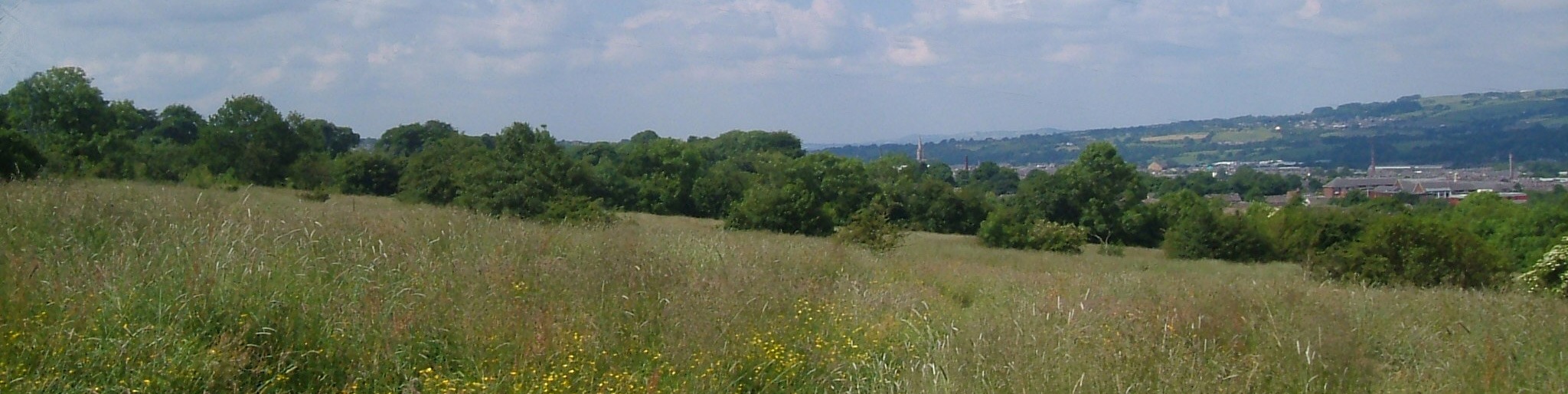 A photograph showing the landscape of Gib Hill nature reserve